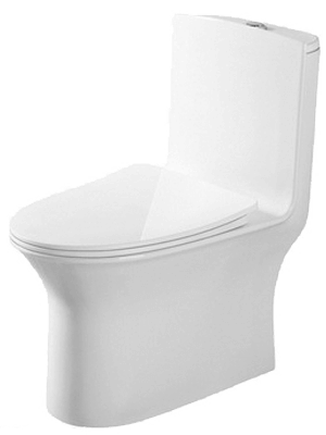 One Piece Toilet - Best Toilet 2023