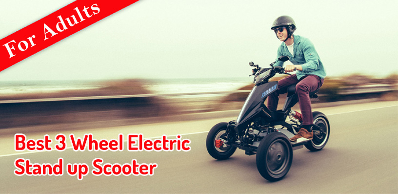 3 Wheel Electric Stand up Scooter 2023