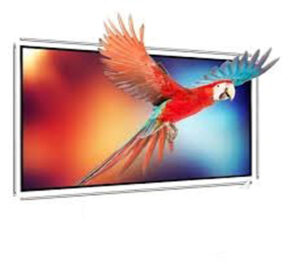 Yandood 120 Pole Frame Screen