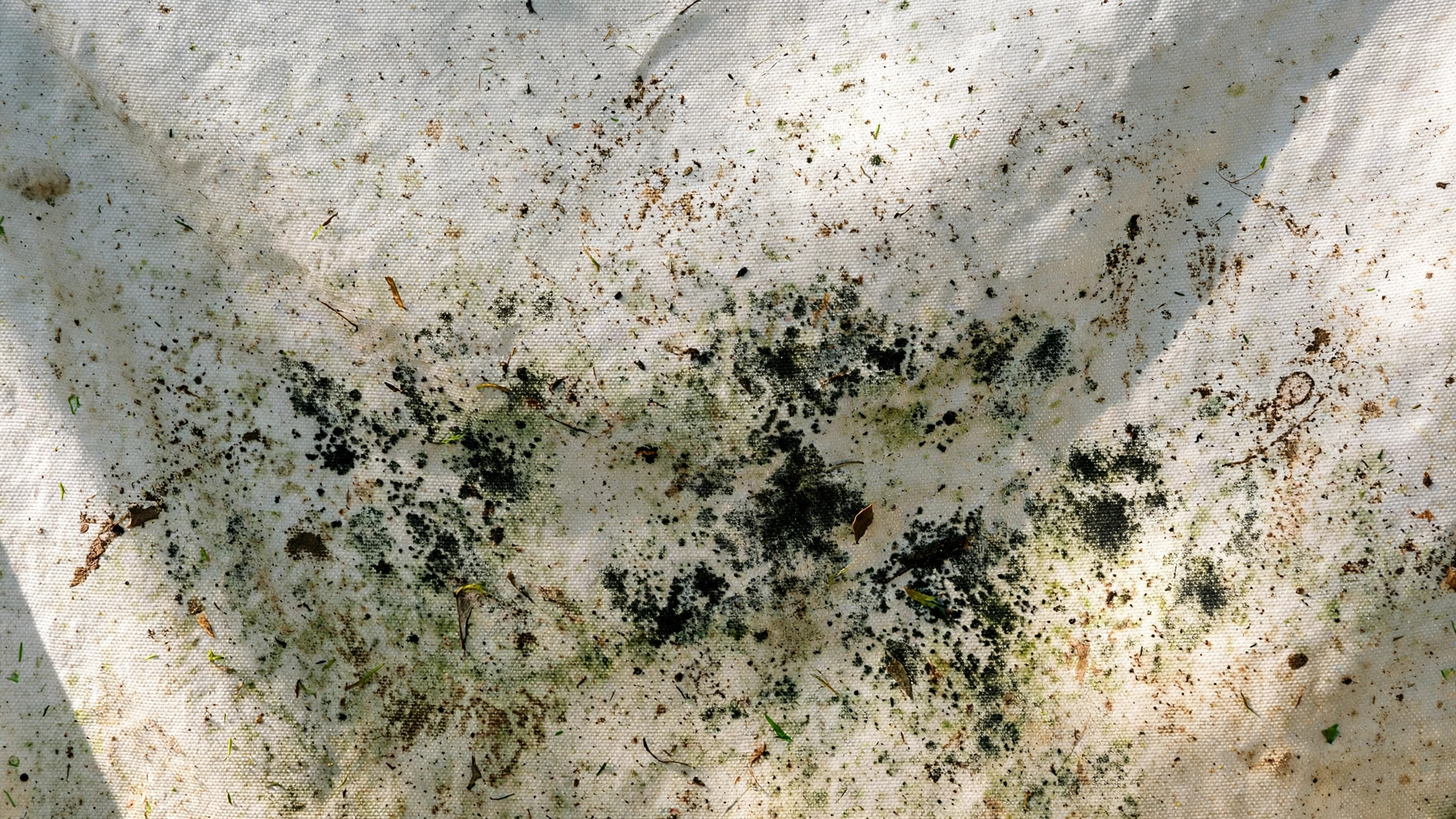Mildew spots on outdoor projector screen before cleaning